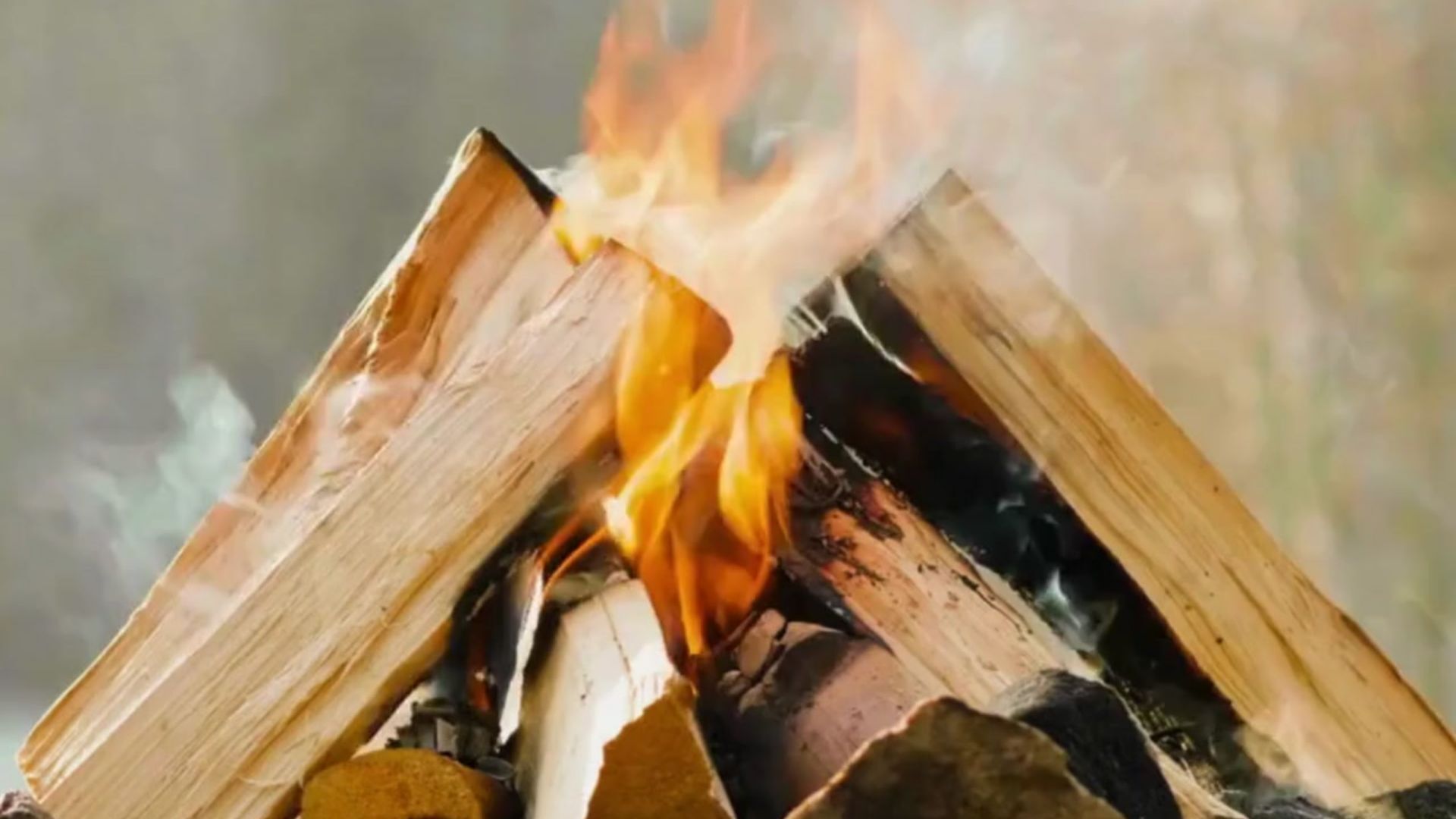 En nystart vid Mälarens strand