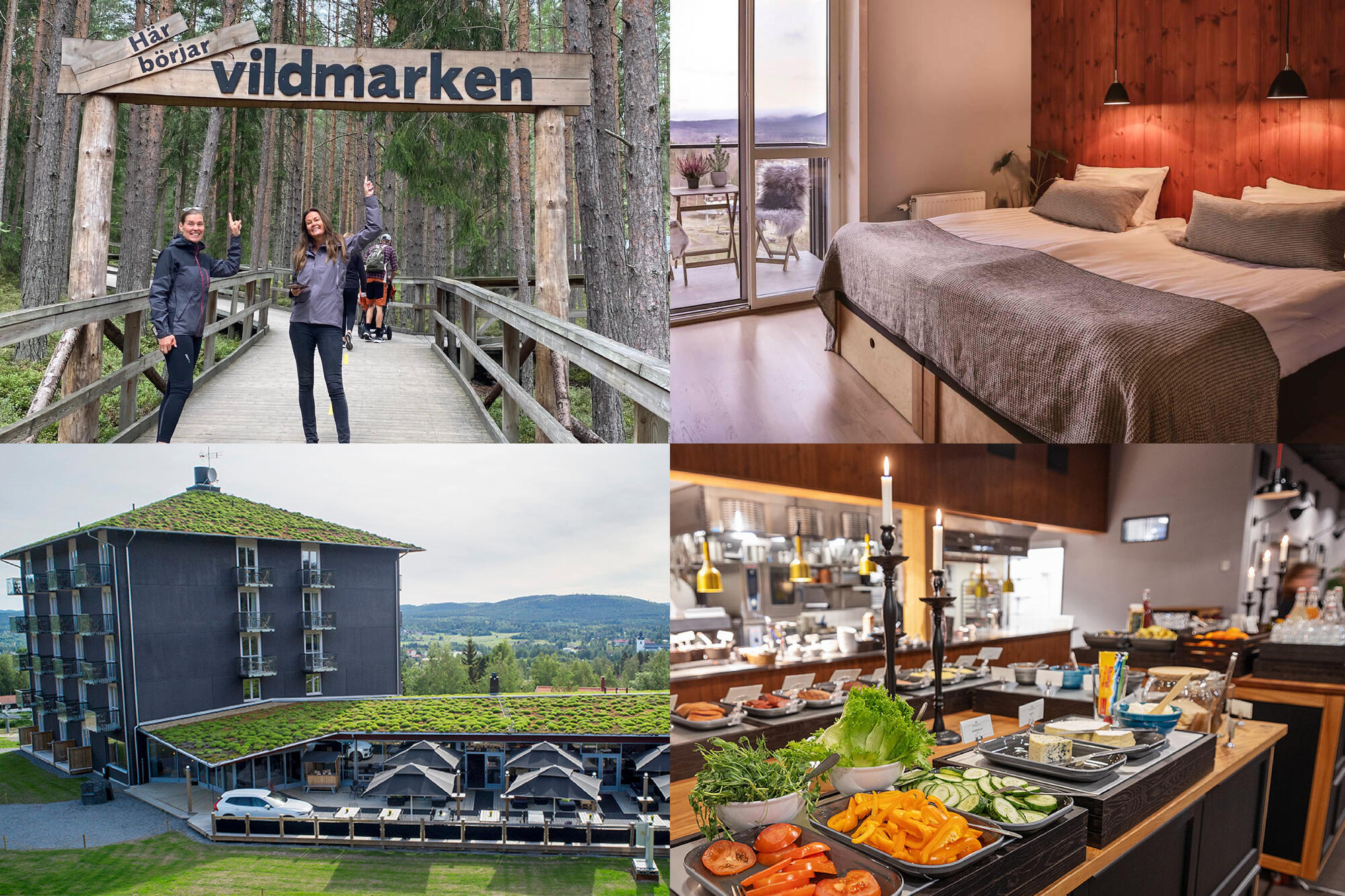 Bergshotellet i Järvsö bjuder er konferensgrupp på Walk & Talk på Vildriket
